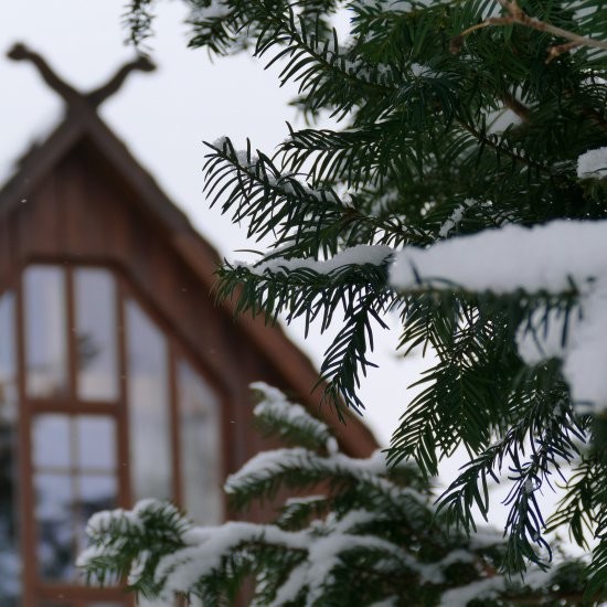 Ferienhaus »Haus anno 1750« - Im Winter