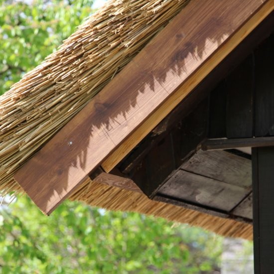 Holiday house »Bienenhaus« - Reet macht's gemütlich