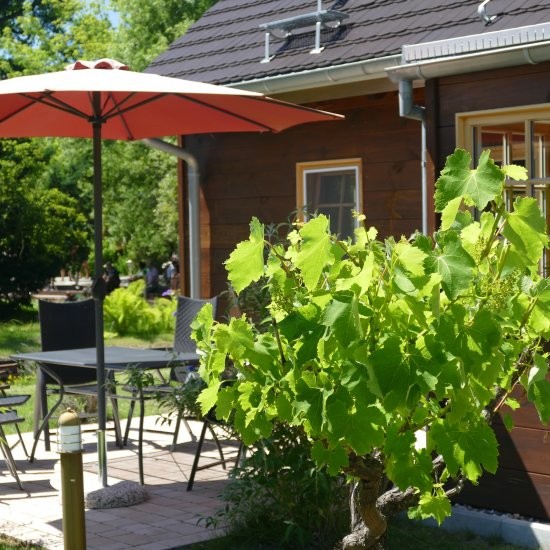 Ferienhaus »Haus anno 1750« - Blick zur Terrasse