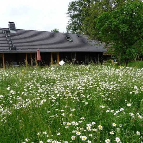 Holiday house »Scheune« - Natur pur